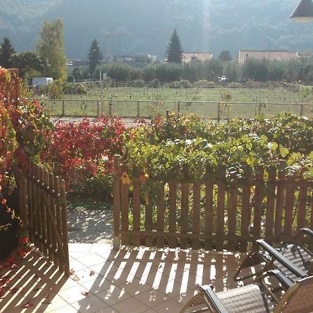 Agriturismo Le Collinette Villanova d'Albenga Exterior photo